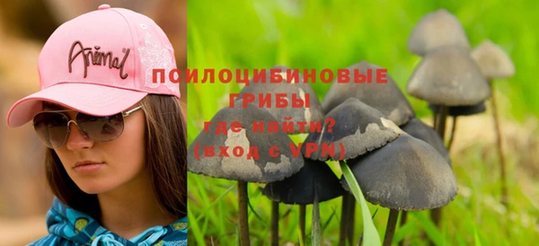 СК Елабуга