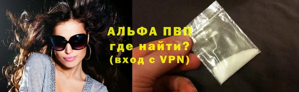 ПСИЛОЦИБИНОВЫЕ ГРИБЫ Елизово