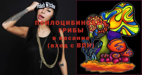ПСИЛОЦИБИНОВЫЕ ГРИБЫ Елизово