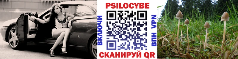 Псилоцибиновые грибы MAGIC MUSHROOMS  Купить где  Сосновоборск 